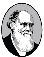 Darwin Darwin
