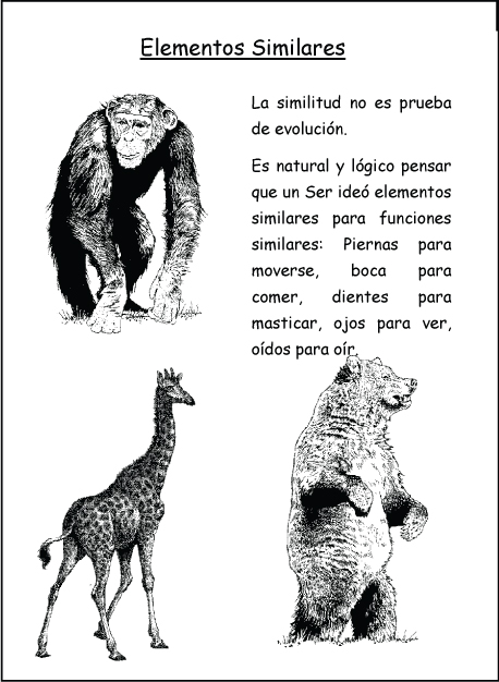 Elementos Similares Elementos Similares
