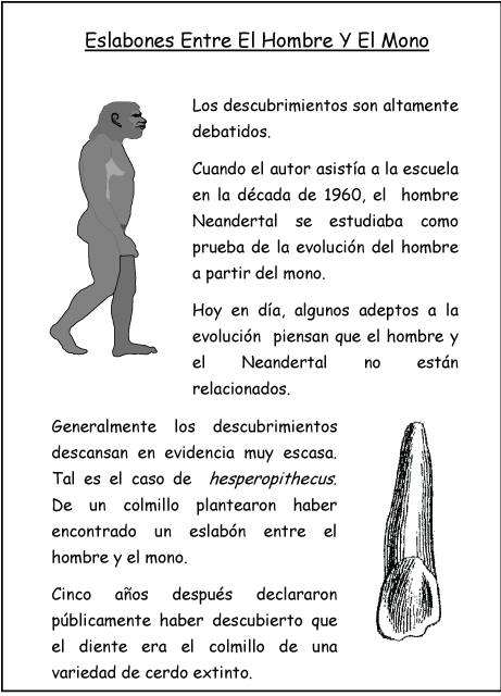Eslabones Entre El Hombre Y El Mono Eslabones Entre El Hombre Y El Mono