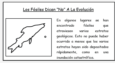 Los Fósiles Dicen “No” A La Evolución Los Fósiles Dicen “No” A La Evolución