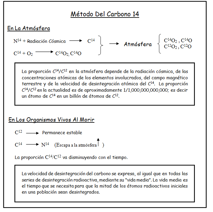 Método Del Carbono 14 Método Del Carbono 14