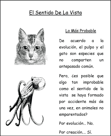 El Sentido De La Vista El Sentido De La Vista